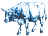 year of the ox