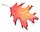 Fall 2009