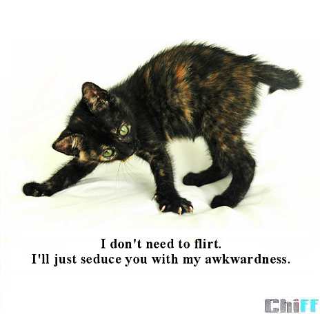 I don't need to flirt...