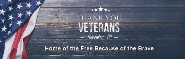 thank you veterans day 2022